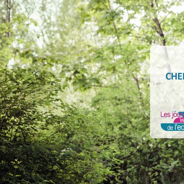 Cheminement vers la durabilité - Contrat De Rivière Meuse Aval