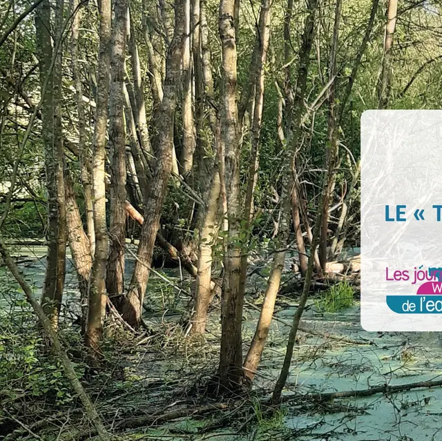 Le trou du tonnerre - Contrat De Rivière Meuse Aval