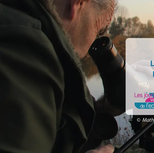 Les oiseaux de la réserve naturelle du Haut-Geer - Contrat De Rivière Meuse Aval