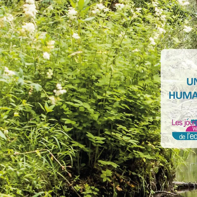 Une rivière, une vallée et des humains - Contrat De Rivière Meuse Aval