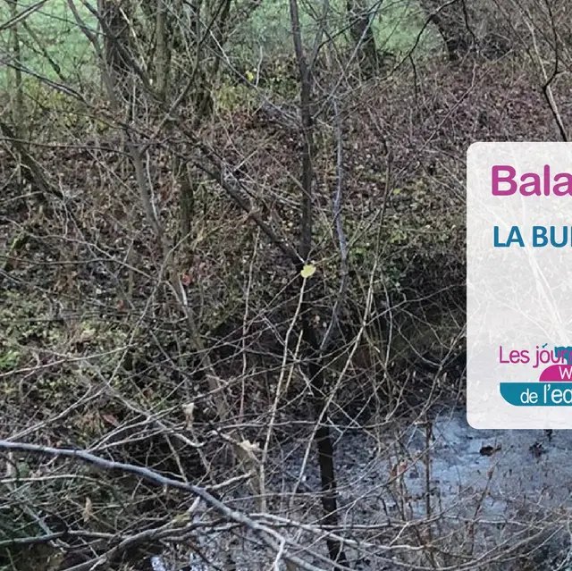 Une vallée au sein de la Hesbaye - Contrat De Rivière Meuse Aval