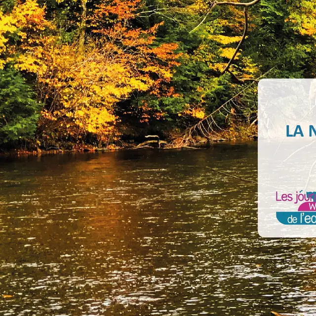 La nature dans la valleé de la mehaigne - Contrat De Rivière Meuse Aval