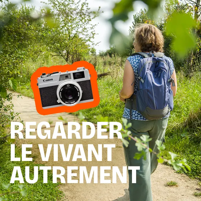 Regarder le vivant autrement