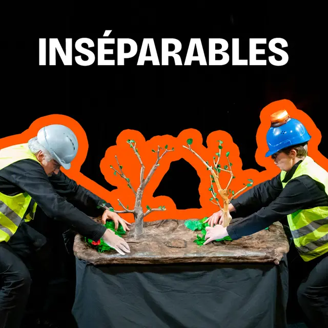 Inseparable waremme 26