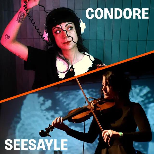 Concorde seesayle waremme 26