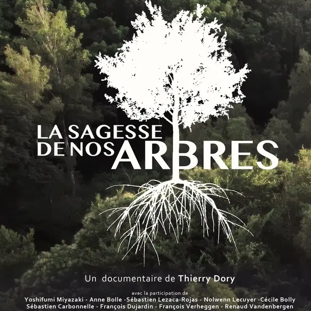 La sagesse de nos arbres wanze 26