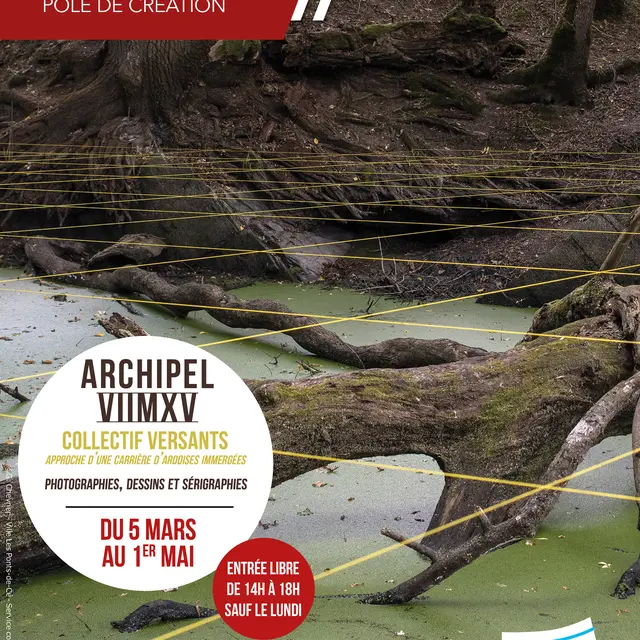 30x40-affiche-expo-archipel-viimxv-rive-d-arts-1077388