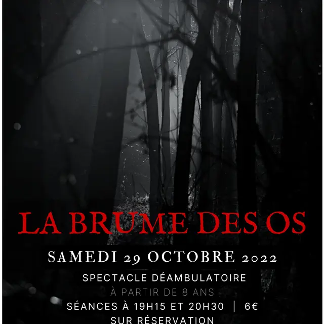 affiche-la-brume-des-os-le-29-octobre-page-0001-1100198