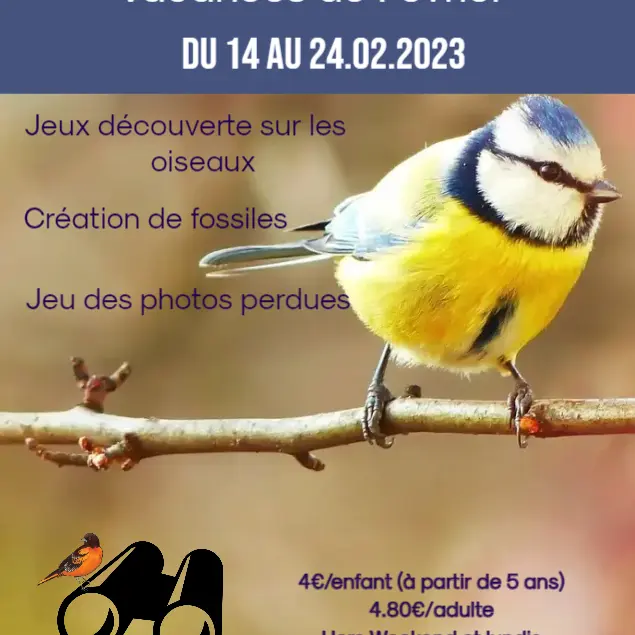 affiche-semaine-2023-1126308