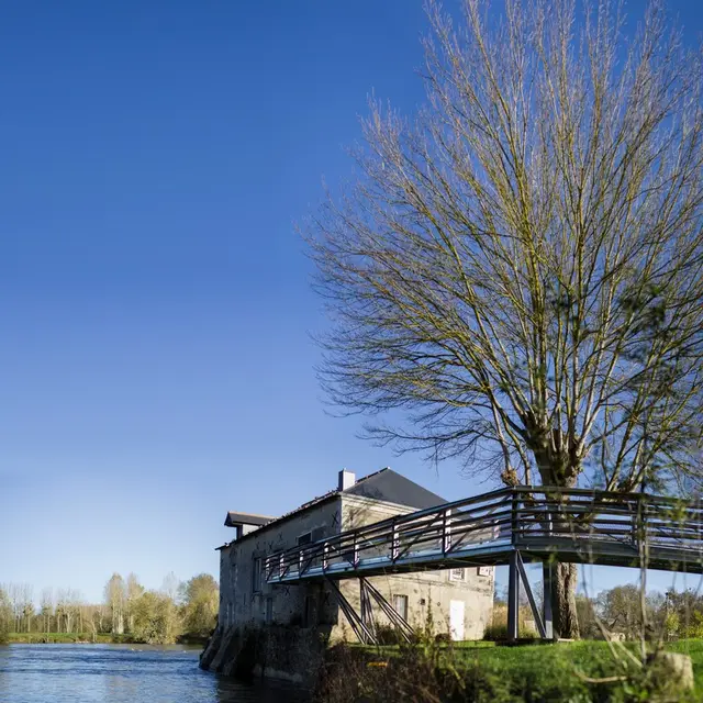 expo-de-printemps-cr-mairie-de-rives-du-loir-en-anjou-copier-1125854