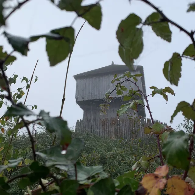 img-2560-copier-1097459