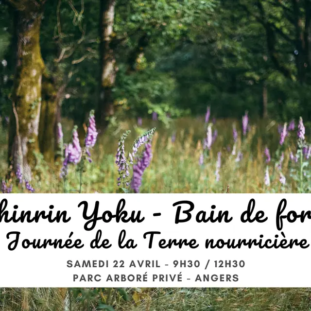 shinrin-yoku-journ-e-de-la-terre-1128306