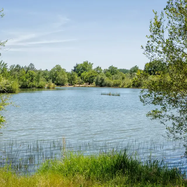 parc-des-sablieres-d-ecouflant-copyright-dorothee-mouraud-destination-angers-destination-angers-9506-copier-1087723