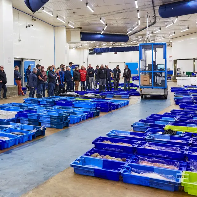 01 - La Criée de La Turballe