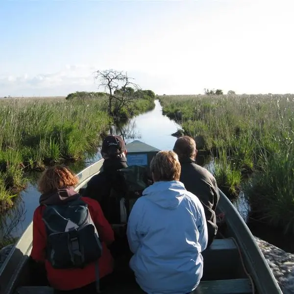 Balade en chaland dans les canaux de Brière (barque traditionnelle)