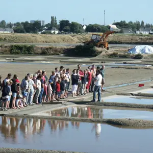 Guérande Saillé Maison des Paludiers Marais salants visite d'une saline