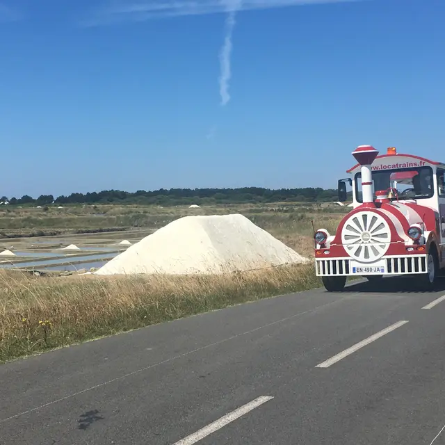 Le Petit Train des Marais Salants - Balade près des salines