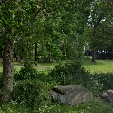 aire-de-pique-nique-bois-pierrot-2041382