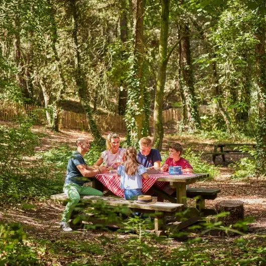Aire de pique-nique du boulevard de la Forêt de La Baule-Escoublac