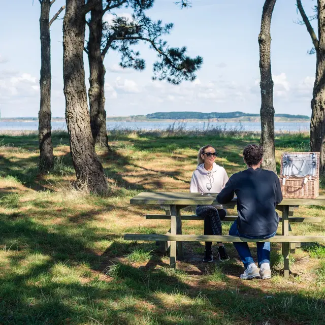 Aire de pique-nique du Branzais - Pénestin