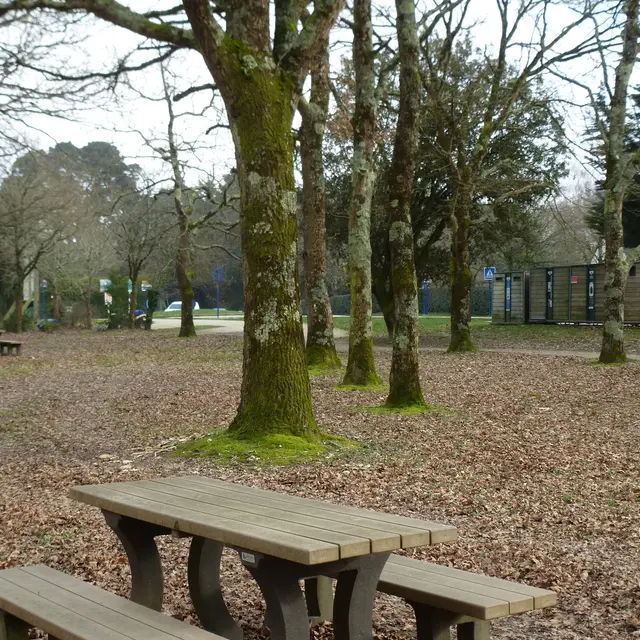 Mesquer Quimiac - Aire de pique-nique de l'Allée de la Mer