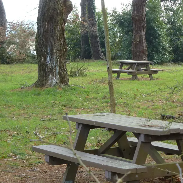 Mesquer Quimiac - Aire de pique-nique de la Bôle de Merquel