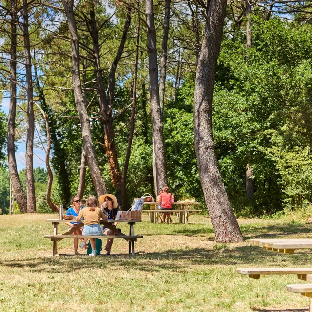 Aire de pique-nique de Pont-Mahé, à Assérac
