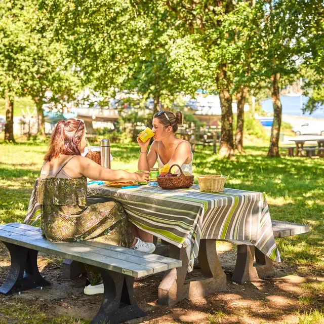 Aire de pique-nique de Vieille Roche - Camoël