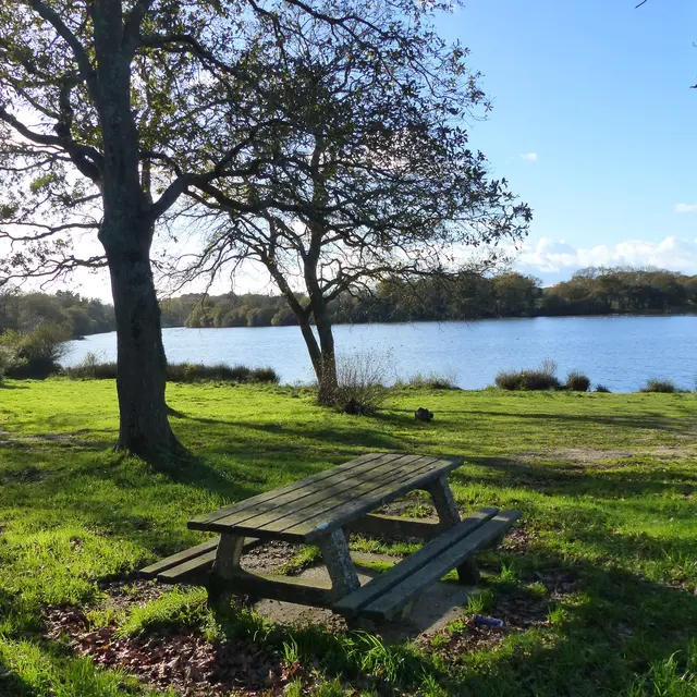 Aire de pique-nique des Étangs de Sandun - Guérande