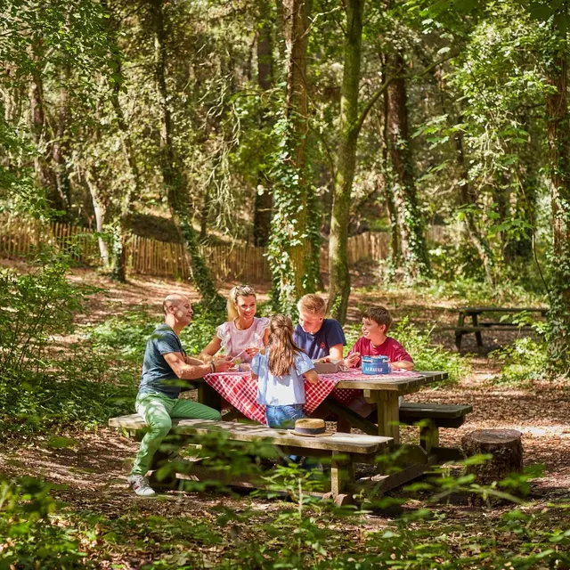 Aire de pique-nique - Forêt d'Escoublac - La Baule