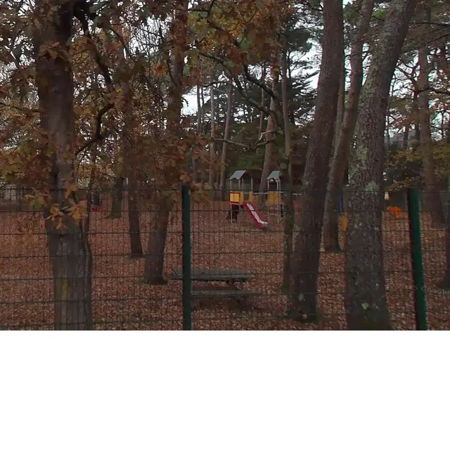 Mesquer quimiac - bois-quimiac