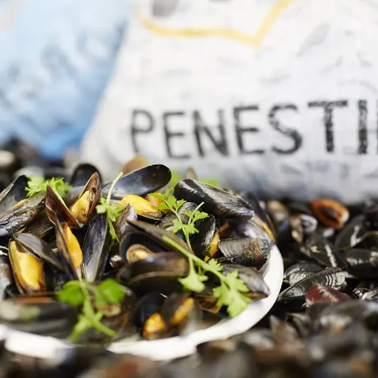 Breizh Coquillages - Pénestin