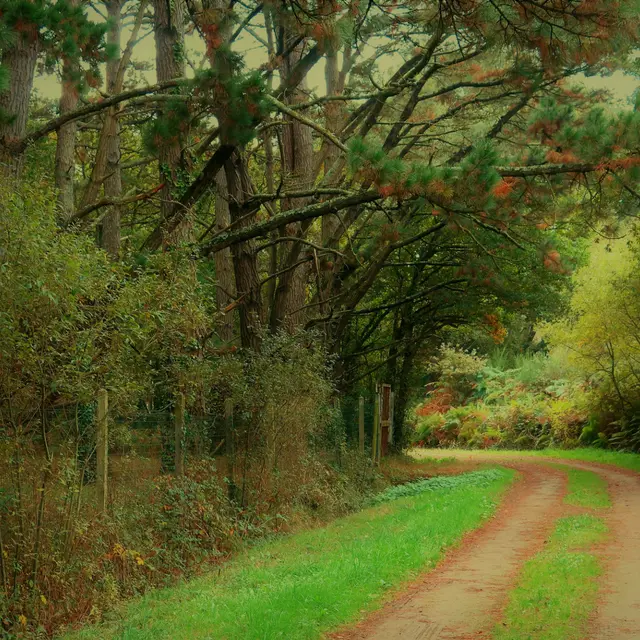 butte-de-guelan-1617841