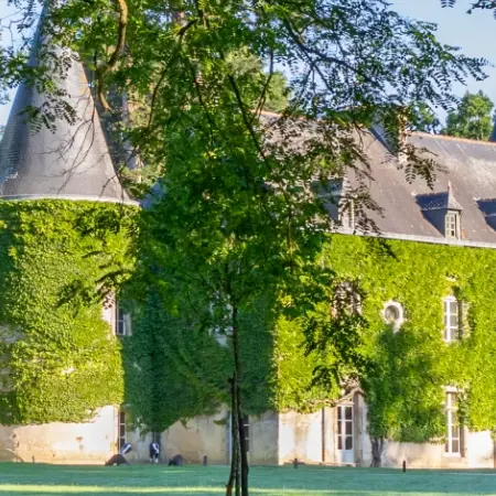 Château du Parc animalier et botanique de Branféré