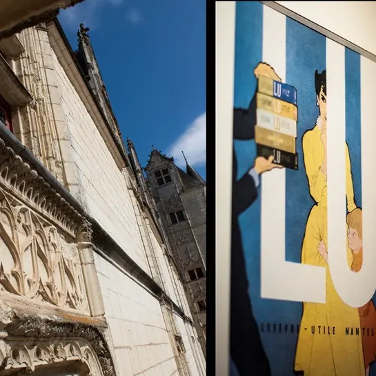 Château de Goulaine - Château - Haute-Goulaine