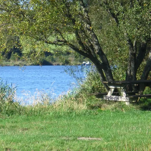 ferel-pour-dms-1582136