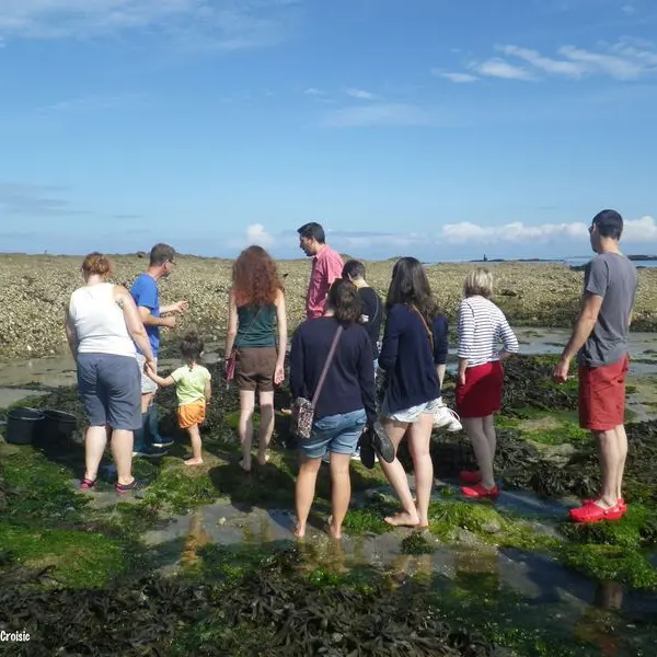 Ferme marine Les Jardins de la Mer au Croisic - atelier cueillette