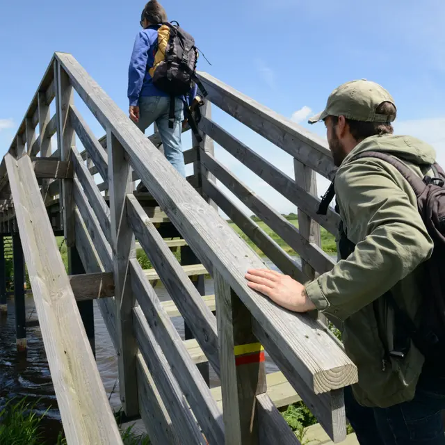 GRP® Tour de Brière - Secteur Ile Jacquet
