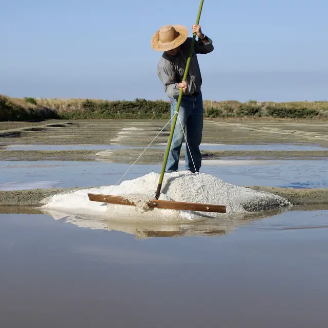 Crédit photo Terre de Sel / Photo Pascal François.