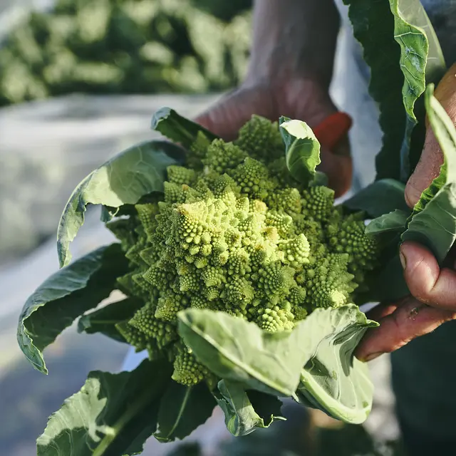 jardin-aliwen-stmolf-with-marion-and-paul-1