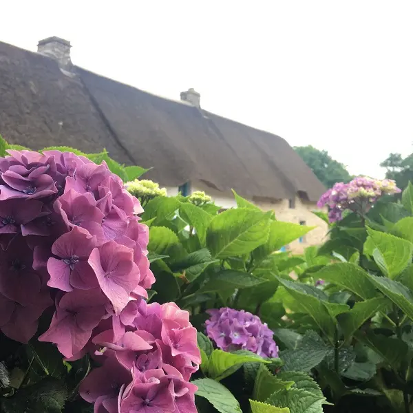 Kerhinet - Chaumière