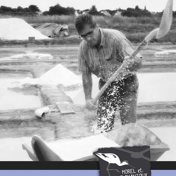 Saint Molf -L'atelier du sel