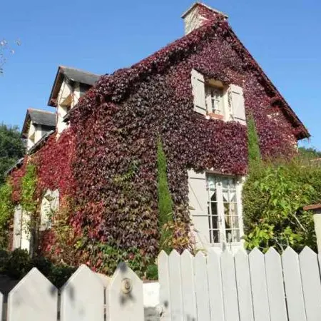 l'Embellie - Chambre d'hôtes - façade - La Baule