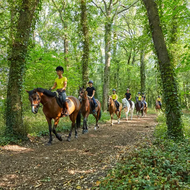 La Baule les pins - Forêt d'Escoublac - équitation