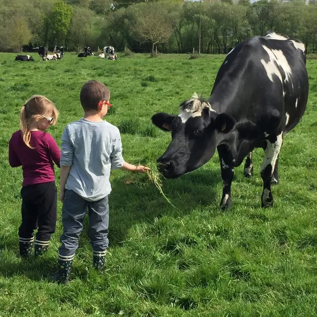 La Petite Arche de la Vallée Nivillac