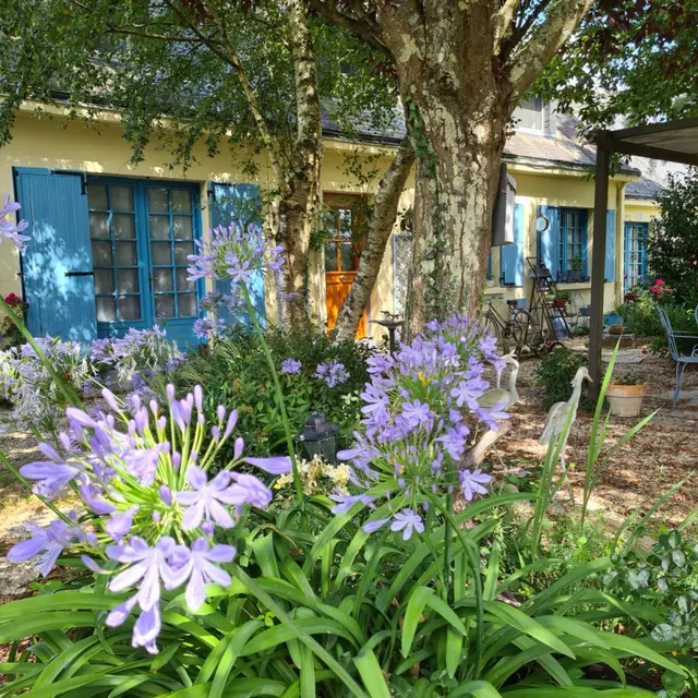 Le pavillon de la brière