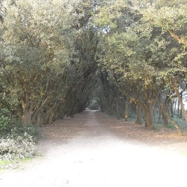 Les landes du Gouverneur - Le Croisic - Parc de Penn Avel