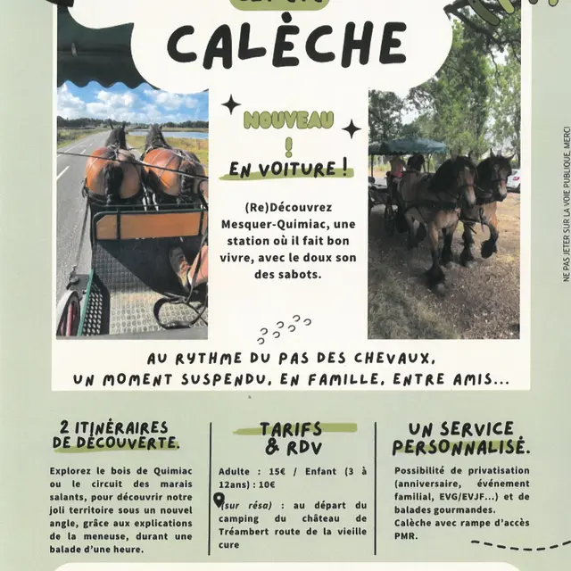 balade en calèche Mesquer-Quimiac