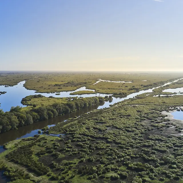 Marais de Brière
