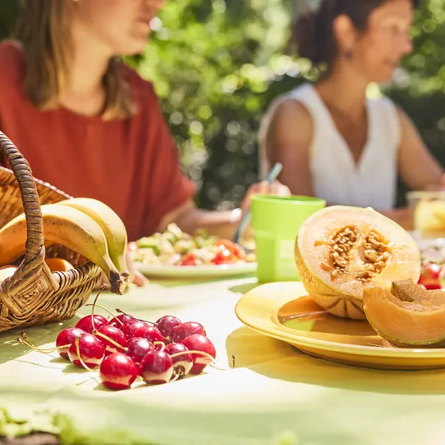 Pique-nique à Pompas, Herbignac